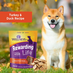 【Pet Mates】Wellness The Rewarding Life - Training Rewards Soft & Tasty Dog Treats 6oz (170g)