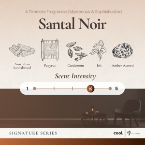 Pristine Reed Diffuser | Signature Series | Essential Oil | Award Winning Scent | 50ml | Fragrance Home Aroma Gift for Decorations