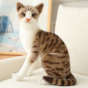 TANTUANG Home Decoration Child Gift Pillow Simulation Doll Simulation Cat Toy Plush Toys