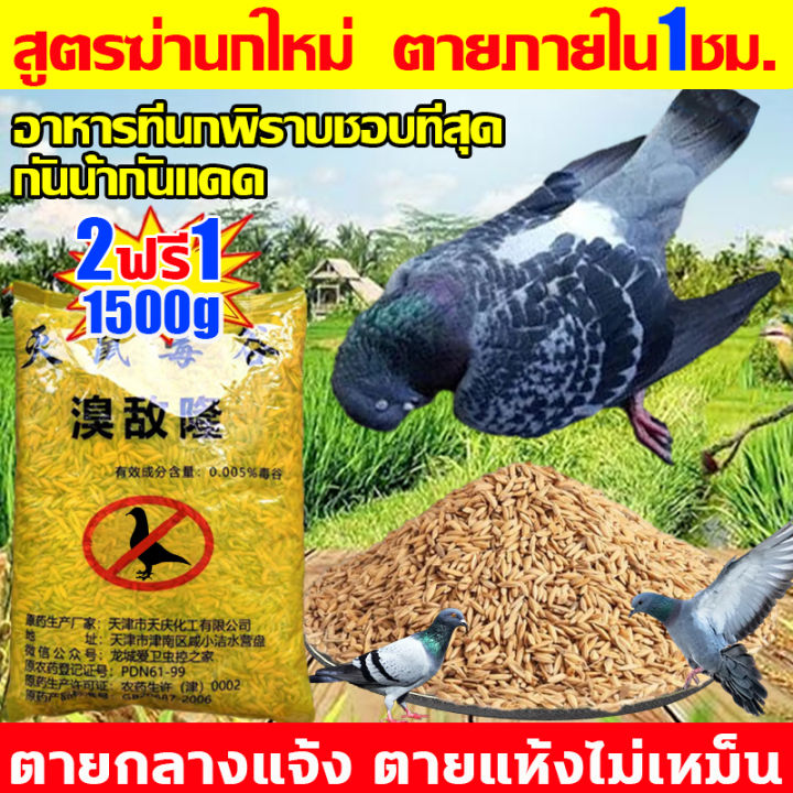 %E0%B8%A2%E0%B8%B2%E0%B9%80%E0%B8%9A%E0%B8%B7%E0%B9%88%E0%B8%AD%E0%B8%99%E0%B8%81%E0%B8%9E%E0%B8%B4%E0%B8%A3%E0%B8%B2%E0%B8%9A%E0%B8%81%E0%B8%B3%E0%B8%88%E0%B8%B1%E0%B8%94%E0%B8%9E%E0%B8%B4%E0%B8%A3%E0%B8%B2%E0%B8%9A%E0%B9%81%E0%B8%A5%E0%B8%B0%E0%B8%99%E0%B8%81%E0%B8%97%E0%B8%B8%E0%B8%81%E0%B8%8A%E0%B8%99%E0%B8%B4%E0%B8%94%20%E0%B9%80%E0%B8%AB%E0%B8%A2%E0%B8%B7%E0%B9%88%E0%B8%AD%E0%B8%81%E0%B8%B3%E0%B8%88%E0%B8%B1%E0%B8%94%E0%B8%99%E0%B8%81%E0%B8%9E%E0%B8%B4%E0%B8%A3%E0%B8%B2%E0%B8%9A%20%E0%B8%A2%E0%B8%B2%E0%B8%86%E0%B9%88%E0%B8%B2%E0%B8%99%E0%B8%81%E0%B8%9E%E0%B8%B4%E0%B8%A3%E0%B8%B2%E0%B8%9A500g%20%E0%B8%97%E0%B8%B3%E0%B8%A5%E0%B8%B2%E0%B8%A2%E0%B8%AD%E0%B8%A7%E0%B8%B1%E0%B8%A2%E0%B8%A7%E0%B8%B0%E0%B8%A0%E0%B8%B2%E0%B8%A2%E0%B9%83%E0%B8%99%E0%B8%95%E0%B8%B2%E0%B8%A2%E0%B9%83%E0%B8%99%201%E0%B8%8A%E0%B8%A1.%20%E0%B8%A2%E0%B8%B2%E0%B9%80%E0%B8%9A%E0%B8%B7%E0%B9%88%E0%B8%AD%E0%B8%99%E0%B8%81%20%E0%B8%9E%E0%B8%B4%E0%B8%A3%E0%B8%B2%E0%B8%9A%20%E0%B9%81%E0%B8%AB%E0%B9%89%E0%B8%87%E0%B9%80%E0%B8%A3%E0%B9%87%E0%B8%A7%E0%B9%81%E0%B8%A5%E0%B8%B0%E0%B9%84%E0%B8%A1%E0%B9%88%E0%B8%A1%E0%B8%B5%E0%B8%81%E0%B8%A5%E0%B8%B4%E0%B9%88%E0%B8%99%20%E0%B8%81%E0%B8%B4%E0%B8%99%E0%B8%87%E0%B9%88%E0%B8%B2%E0%B8%A2%E0%B8%95%E0%B8%B2%E0%B8%A2%E0%B9%84%E0%B8%A7%20%E0%B8%8A%E0%B8%99%E0%B8%B4%E0%B8%94%E0%B9%84%E0%B8%A1%E0%B9%88%E0%B8%95%E0%B9%89%E0%B8%AD%E0%B8%87%E0%B8%9C%E0%B8%AA%E0%B8%A1%E0%B8%AD%E0%B8%B2%E0%B8%AB%E0%B8%B2%E0%B8%A3%20%E0%B8%A2%E0%B8%B2%E0%B9%80%E0%B8%9A%E0%B8%B7%E0%B9%88%E0%B8%AD%E0%B8%99%E0%B8%81%20%E0%B9%80%E0%B8%AB%E0%B9%87%E0%B8%99%E0%B8%9C%E0%B8%A5%E0%B8%8A%E0%B8%B1%E0%B8%A7%E0%B8%A3%E0%B9%8C%20100%25%20%E0%B9%84%E0%B8%A1%E0%B9%88%E0%B8%A1%E0%B8%B5%E0%B8%99%E0%B8%81%E0%B8%A3%E0%B8%9A%E0%B8%81%E0%B8%A7%E0%B8%99%20%E0%B9%84%E0%B8%A5%E0%B9%88%E0%B8%99%E0%B8%81%E0%B8%9E%E0%B8%B4%E0%B8%A3%E0%B8%B2%E0%B8%9A%E0%B8%96%E0%B8%B2%E0%B8%A7%E0%B8%A3%20%E0%B8%A2%E0%B8%B2%E0%B9%84%E0%B8%A5%E0%B9%88%E0%B8%99%E0%B8%81%E0%B8%9E%E0%B8%B4%E0%B8%A3%E0%B8%B2%E0%B8%9A%20-%20Image%202
