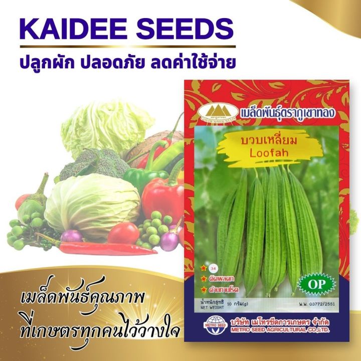 เมล็ดบวบเหลี่ยม ตราภูเขาทอง Loofah ปลูกง่าย