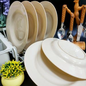 9” PLASTIC ROUND PLATE / REUSABLE DINNER PLATE / DISH PLATE / PARTY PLATE / MEAT PLATE / PLATO