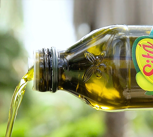 Dầu Olive Extra Virgin Italia Dầu Oliu Siêu Nguyên Chất 100% Kojin Nhập ...