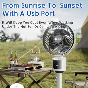 Air Circulation Fan Household Circulation Fan Shaking Head Desktop Dual-Purpose Circulation Fan Floor Fan Electric Fan New Style空气循环扇家用