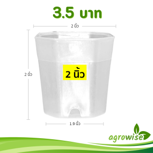 กระถาง กระถางแคคตัส กระถางแปดเหลี่ยม 2 นิ้ว สีใส Bundle 100 ใบ ชิ้น อัน