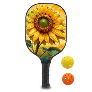 Pickleball Paddles Set with 1 Rackets 2 Pickle Ball 1bag Fiberglass and Graphite Face Non-Slip Grip USAPA Approved ID 60625-1654451045