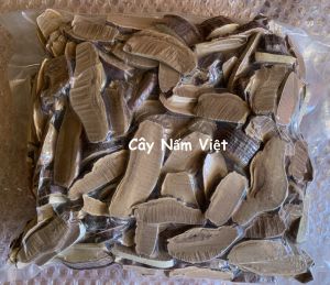 Nấm linh chi đỏ Hồng Chi Nhật Bản 500g (trồng tại Việt Nam) - Cây Nấm Việt