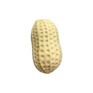 MELODI ASMR Sensory Simulated Peanut Squeeze Toy Stress Relief Soft Sensory Toy Creative Decompression Toy Kids Adults