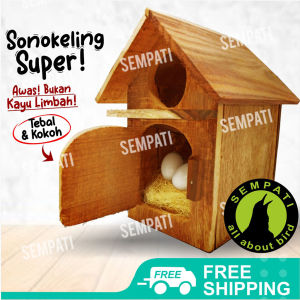 SEMPATI Glodok Rumah Parkit Glodokan Kayu Tempat Sarang Ternak Breeding Koloni Bertelur Kandang Burung Lovebird Kenari Dll GLDRP