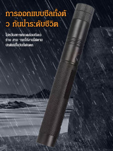 ปากกาเลเซอร์ ไฟฉาย ไฟแสดงสถานะเลเซอร์ ปากกาอินฟราเรด ชาร์จไฟ USB แมว ppt สอนแส้ สอนมัลติฟังก์ชั่น พลังงานสูง USB多功能指示激光笔