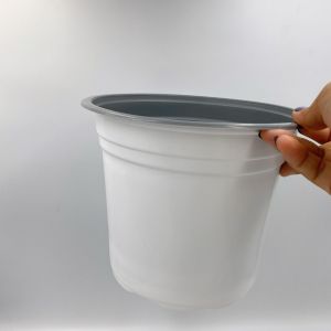 CT21M - Sét 5 chậu trồng hoa tết cây giống nhựa PP size 21x17.5cm - xem trong mô tả