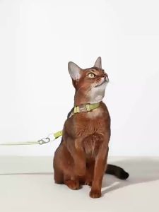 Cat Harness Escape Proof No Pull Reflective H Shape Vest Adjustable Lightweight Walking Leash Set for Small Cats Kitten2026
