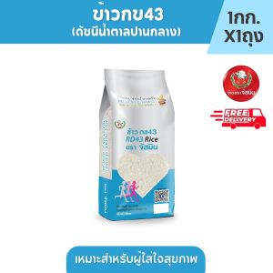 [ส่งฟรี] จัสมิน ข้าวกข43 (ดัชนีน้ำตาลปานกลาง) แท้100% ขนาด 1กก. X 125 ถุง (แพคสุญญากาศ)