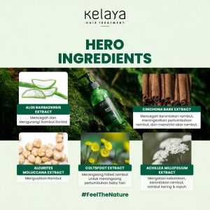 Kelaya Hair Treatment Shampoo 250ml Penebal Penumbuh Rambut Mencegah Rontok Shampo Sampo Kepala Perawatan