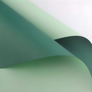 Buket Uang Kosong 10 lembar | {2 Warna} | HijauTua - HijauMuda | free kartu ucapan