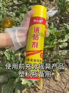 Fruit Fly Trap Bee Pattern Attractant fruit fly trap insect trap fruit fly orchard needle bee killer plant insecticide yellow orchard and plant insect trapping attractant