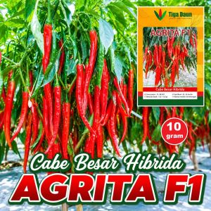Benih Cabe Cabai Besar Hibrida AGRITA F1 10 gram Cap Tiga Daun