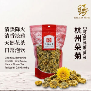 Red Sea Herbs 杭州朵菊花 100g | 菊花茶 明目清肝 降火解毒 花茶泡饮 菊花干 Chrysanthemum Hang Zhou Flower Tea
