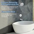 Dreyoo Pressure Balancing Unit Compatible with M952100-0070A American Standard R110, R120, R115, R125 for Single Control Bath Tub and Shower Faucets Valves. 