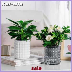 Kui-Min Mini Self Watering Flower Pot Fish Tank Transparent Plastic Plant Pots Self Watering Planter Pot Vase For Home Decoration