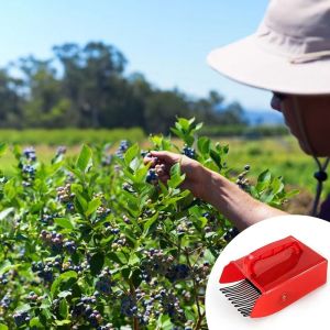 ZSDN MALL Picking Berry Harvester Scoop Ergonomic Handle Blueberry Picker Berry Rakes Metal Comb Rakes Berry Picking Rakes Fruit Collecting