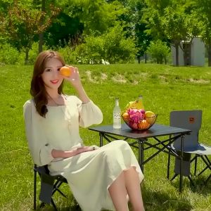 Sunday Outdoor ODF002 Foldable Camping Chair Portable Leisure Chair for Home Garden