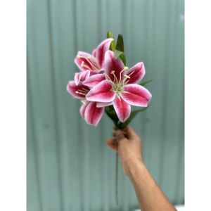 Hoa Ly Giả ( cành dài 54cm). 3 bông 2 nụ .dùng cắm bình .trang trí nhà cửa