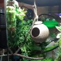 Crested Gecko Coconut Hide Natural Lizard Coco Hut Reptile Hanging Nest Flexible Vine Habitat Decoration Bearded Dragon Terrarium Accessories for Tortoise Chameleon Snake Spider. 