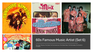 60s Music Set 6 In 32GB USB Famous Old Music Artist from The Cryan Shames The Cyrkle The Five Americans The Golden Dawn The Marmalade & The Sunshine Company with Free OTG Adapter and Surprise Gift