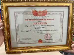 Cà Phê Bột Nổi Tiếng Buôn Mê Thuột The Organic Coffee Đậm Đà Thơm Béo Sánh Nước 500 Gram - 1Kg