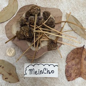 (25gr/35 biji) Bunga MARIGOLD Kering Dried Flower Putik Properti Foto Mahar Rustic Dekorasi Rustik