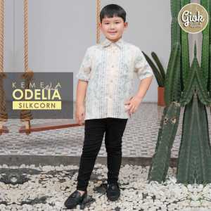 KEMEJA PRIA ODELIA SILKCORN SERIES BY GIOK BAHAN JASMINE PRINTING PREMIUM MURAH NYAMAN MODIS KEKINIAN MOTIF