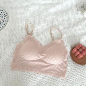 Tokofashion Bh Sport Bra Lace Push Up Tanpa Kawat Bralate Elastis Dengan Busa Bahan Halus BR874