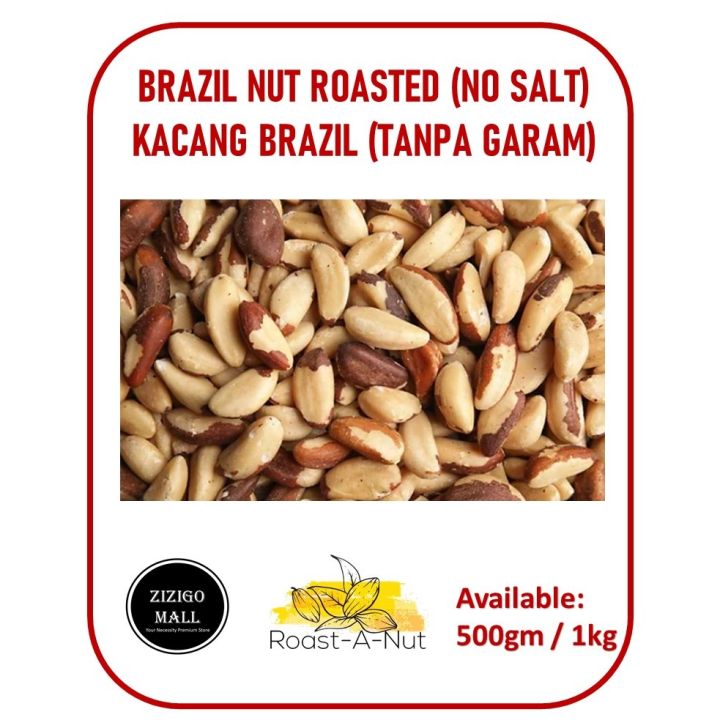 Brazil Nut Roasted Premium Brazil Nut Roasted Unsalted No Salt Brazil ...