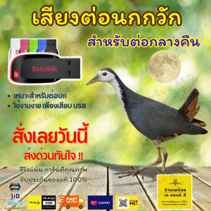 Flash Drive เสียงต่อ นกกวัก สำหรับต่อกลางคืน – คมชัด 6 ชั่วโมง ไม่มีโฆษณา | ส่งด่วน Flash Express | เก็บเงินปลายทาง