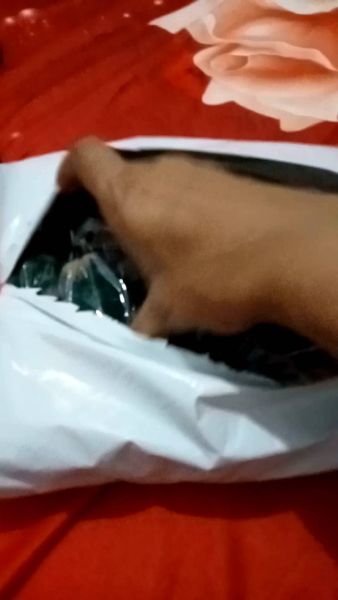 Buyer review video 2