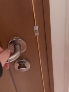 Cat Mermaid & Dog Costumes: Fun & Stylish Photo Props