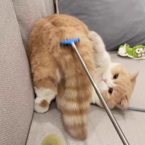 Internet celebrity cat toys retractable tickling cat stick long pole massage interactive self-hi boredom relief artifact cat products