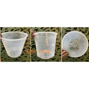 Chậu Nhựa Trong 22X20 (Cm) Thakico !