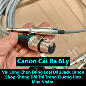 Dây Canon 6 Ly dài 0.8m giá 1 dây | dây canon cái ra 6 ly và dây canon đực ra 6ly.