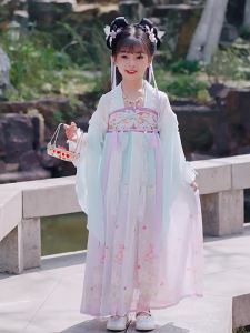 New Trung Quốc khiêm tốn Dresses đối với cô gái dài chiều dài bướm thêu mùa xuân Chic và thanh lịch buổi tối váy cho miễn phí vận chuyển