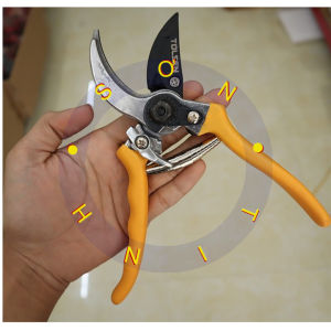 Kéo cắt cành Tolsen 31022 dùng để tỉa cây chăm sóc vườn