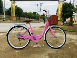 Xe đạp mini VICKY 1 dóng cỡ bánh 26