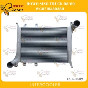 QUEEN BEE HST-08119 INTERCOOLER ASSEMBLY for Howo Sino Truck 2008-2009 WG9719530280 RY530005