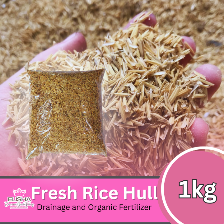 Pure Fresh Rice Hull/Ipa/Rice Hull 1 kilogram Ready to Use for Indoor