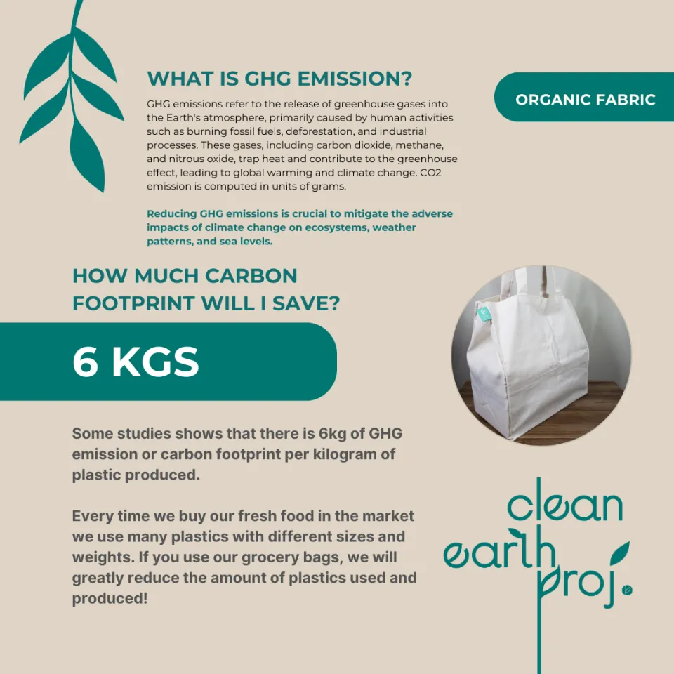 Clean Earth Project Eco-Friendly Canvas Grocery Bag High Quality Heavy Duty  Durable Minimalist Tote Bag with 6-Pockets for Sustainable Shopping 19L