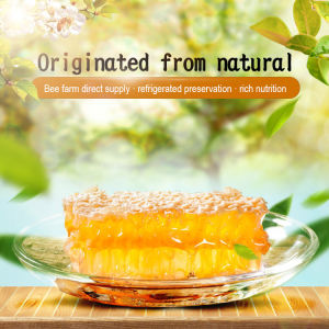 Beehive Honey Earth Honey Mountain Flower Bee Garden Thorn Beehive