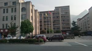 Sports Underwear Womens Running Push up Backless Crop-Top Bandeau Comfort Yoga Vest Workout Bra