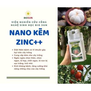 Nano kẽm Zinc++ thuốc diệt nấm cho cây thuốc trừ bệnh cây trồng Biosun chống rụng trái non 500ml