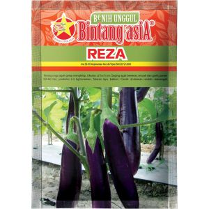 Benih Terong REZA 10 Gram Cap Bintang Asia PT Benih Citra Asia Rasa Buah Renyah Cocok Di Dataran Rendah Sampai Menengah